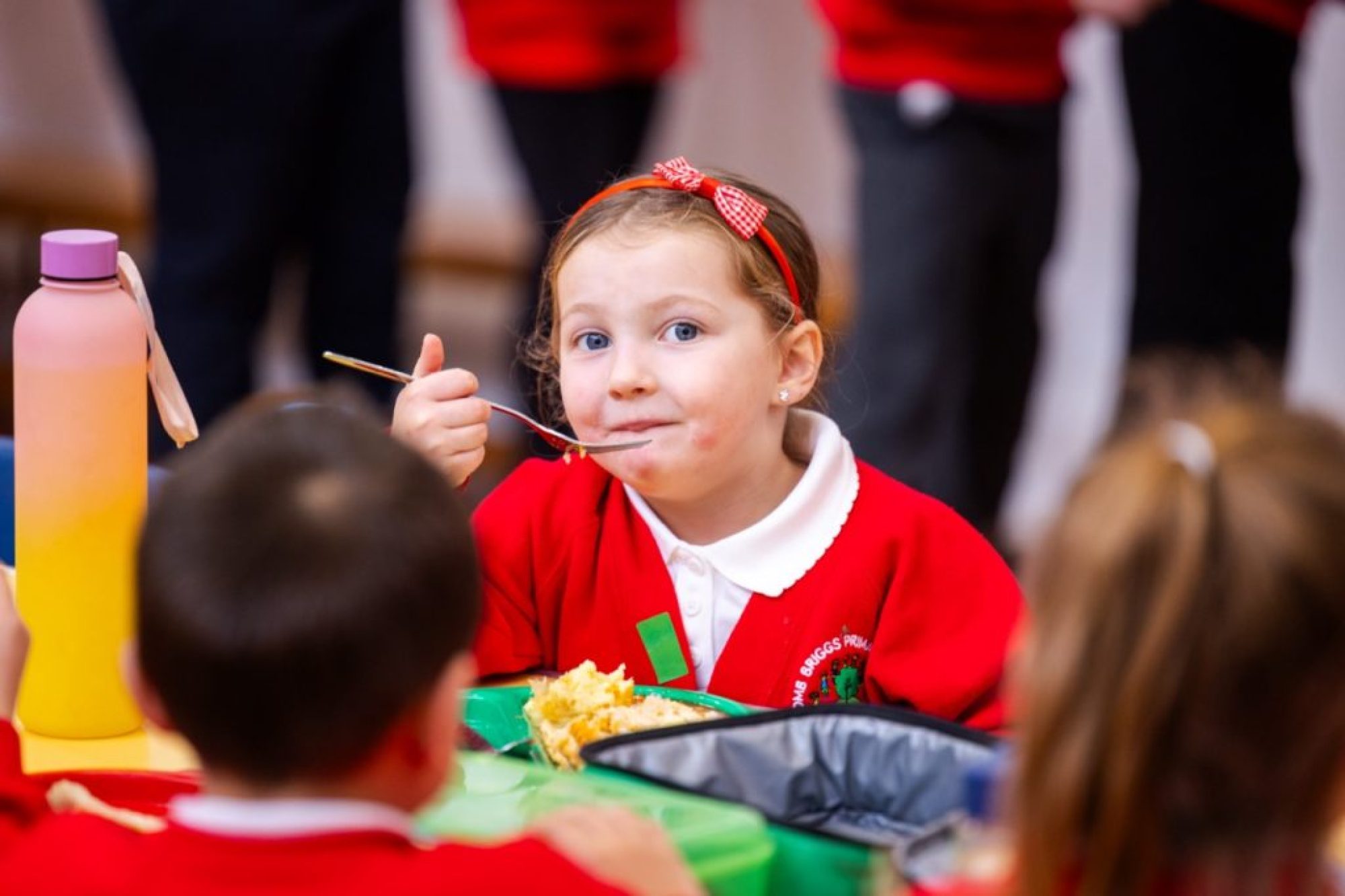 Lunches Large Lunches Large